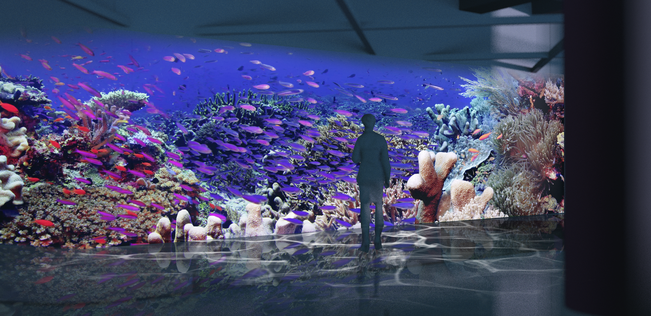 Aquarium of the hotsell pacific 5k 2019